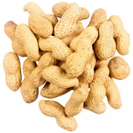 Erdnüsse geröstet 150g