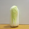 Chinakohl 1Kg BIO