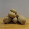 Erdäpfel Ditta 1 KG