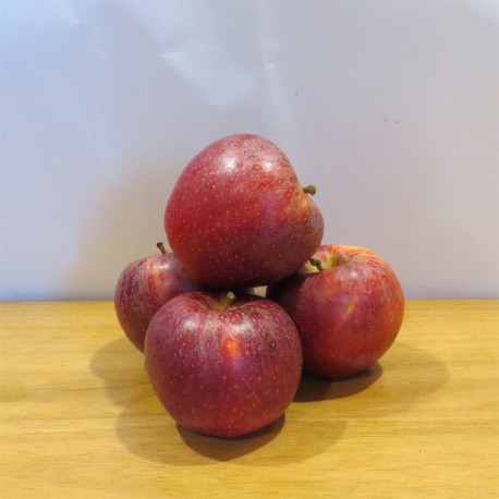 Apfel Gala Demeter 1 Kg